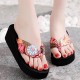 Women Clothes Band Clip Toe Platform Slippers Women Clothes Band Clip Toe Platform Slippers