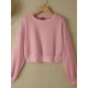 Women Long Sleeve Solid Round Necked Narrow Hem Pullover Sweatshirt Women Long Sleeve Solid Round Necked Narrow Hem Pullover Sweatshirt